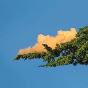 亚洲成av人在线观看
