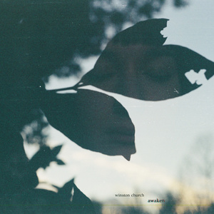 亚洲成av人在线观看
